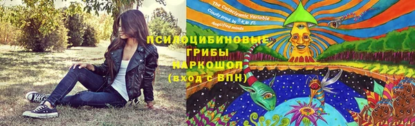 дмт Зеленокумск