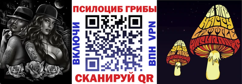 Купить где  Межгорье  Псилоцибиновые грибы MAGIC MUSHROOMS 